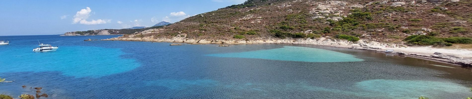 Tour Wandern Calvi - Phare de Revellata - Photo