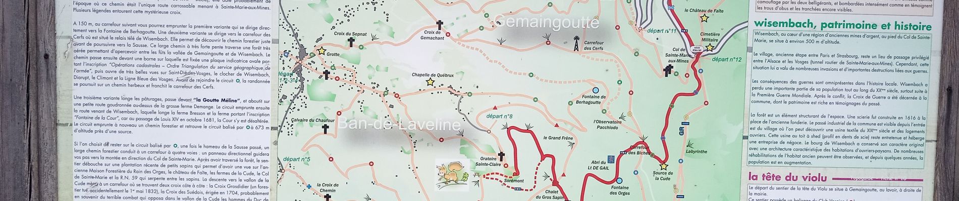 Randonnée Marche Sainte-Marie-aux-Mines - Col de Ste Marie aux Mines (27/8/2020) - Photo