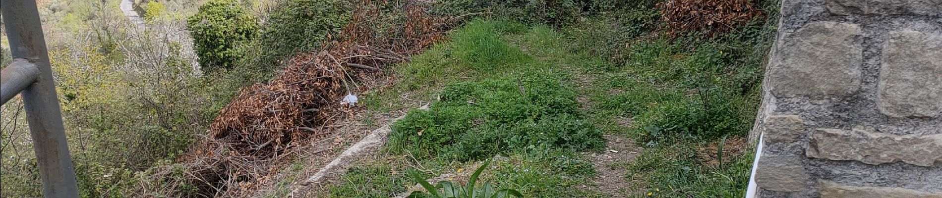 Randonnée Marche Perinaldo - apricale  - Photo