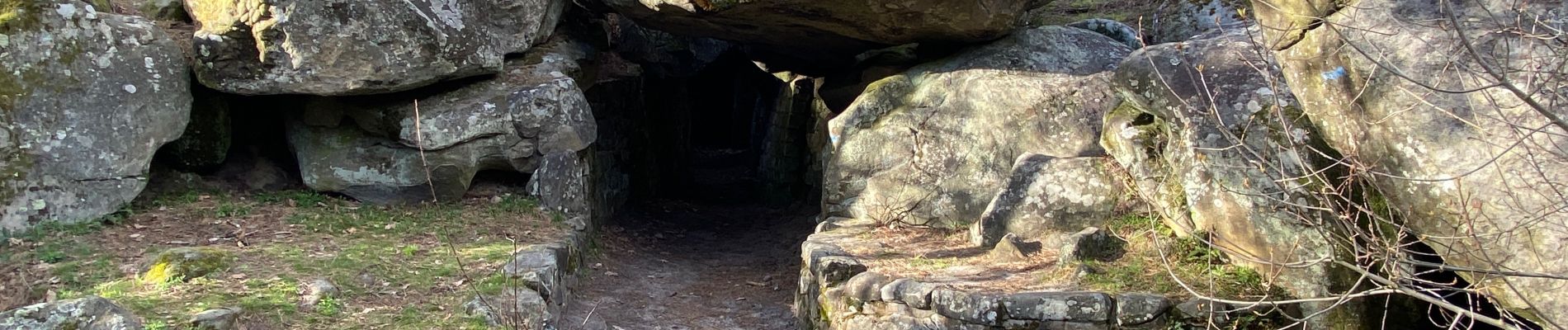 Trail Walking Fontainebleau - Fait TB boucle depuis maison ONF FBleau vers carrefour de Franchard et retour - Photo