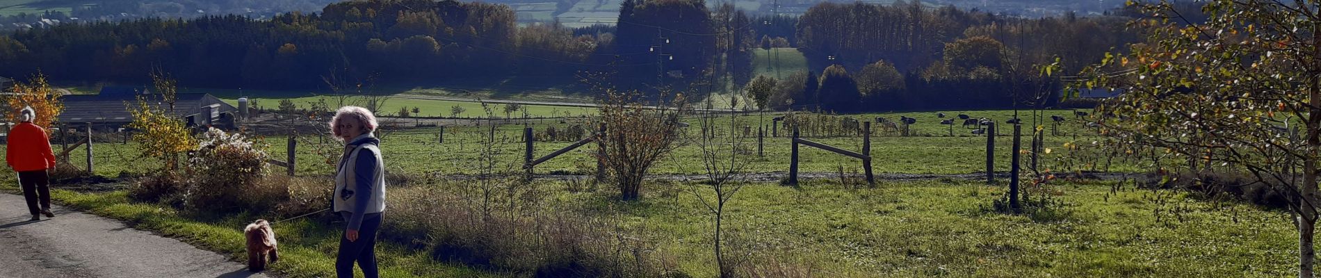 Tocht Stappen Nassogne - ambly N-D des champs ac - Photo