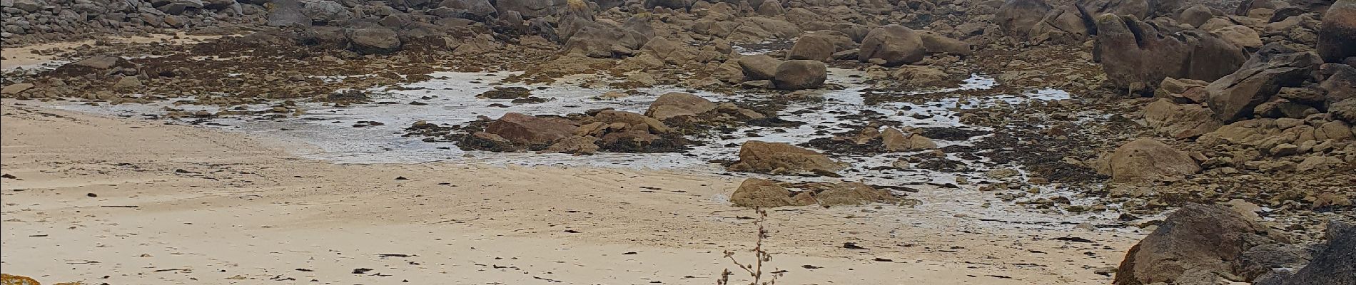 Tocht Stappen Plounéour-Brignogan-Plages - 22 Août 2024 - dolmen du Dievet vers le phare de Pontusval - Photo