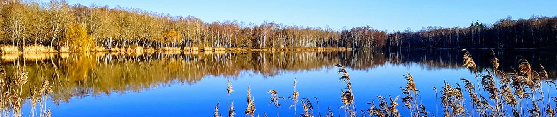 Tour Wandern Fère-en-Tardenois - Fere en Tardenois Parc des Bruyères - Photo