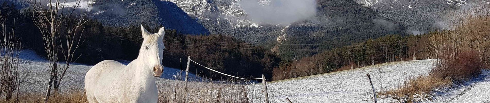 Tour Nordic Walking Saint-Nizier-du-Moucherotte - St Nizier: Le Corba, Ferme Charvet - Boucle 8,5 km - Photo