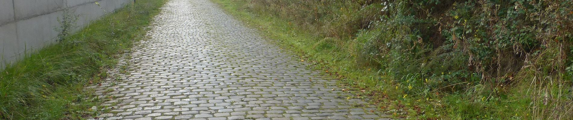 Tocht Te voet Leuven - Sint-Kamilluswandelpad - Photo