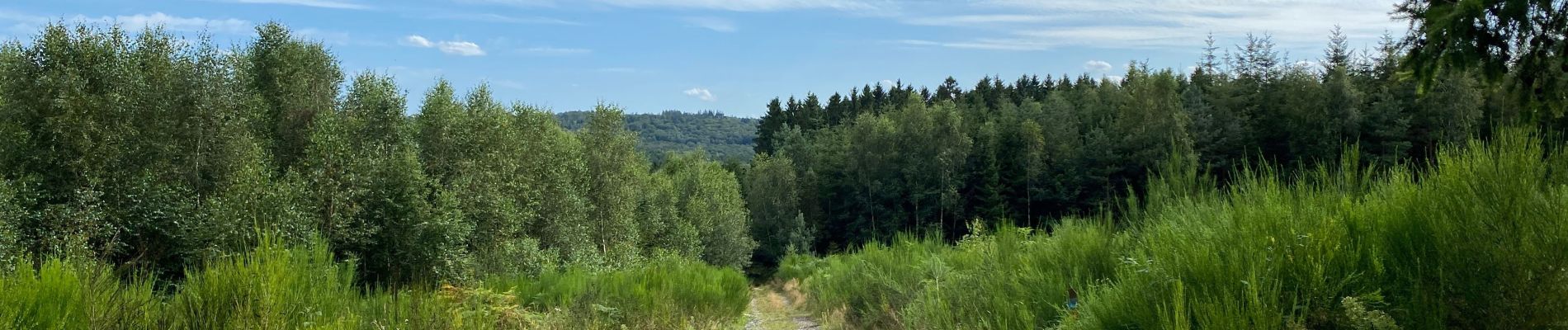 Randonnée Marche Viroinval - Oignies en Thierache 20,7 km - Photo