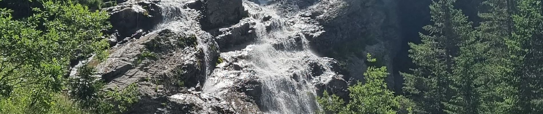 Excursión Senderismo Montriond - le Brochau 6 juillet 2023 - Photo