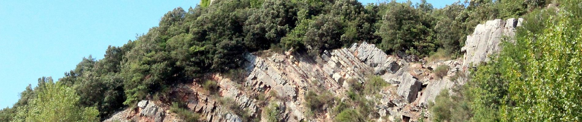 Percorso A piedi Gaiole in Chianti - Trekking tra i castelli 7 - Photo