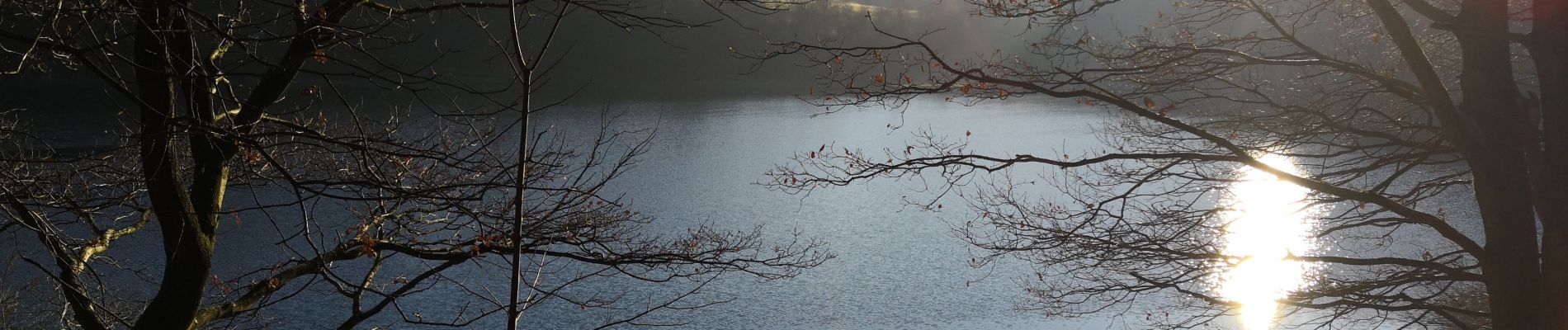 Trail Walking Stavelot - rando autour du lac de Coo - Photo