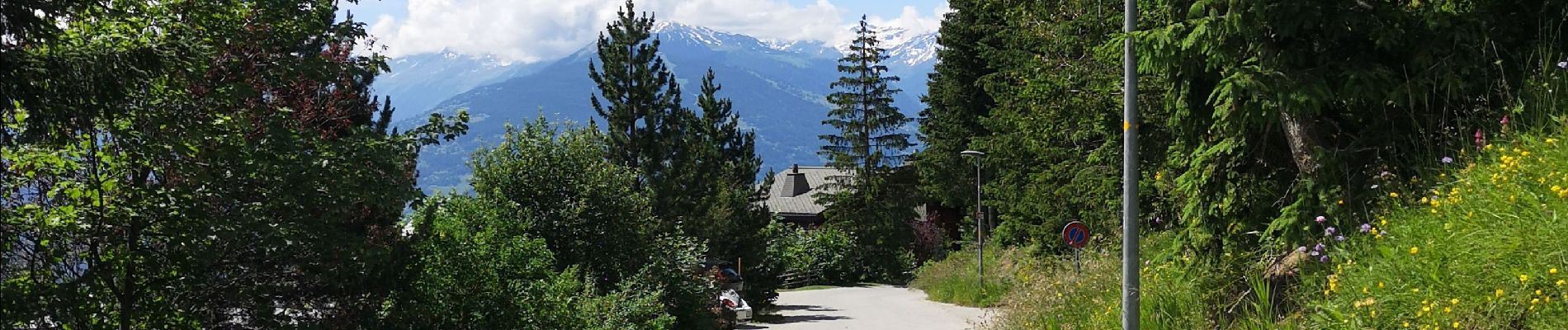 Randonnée Marche Arbaz - Anzère  - Photo