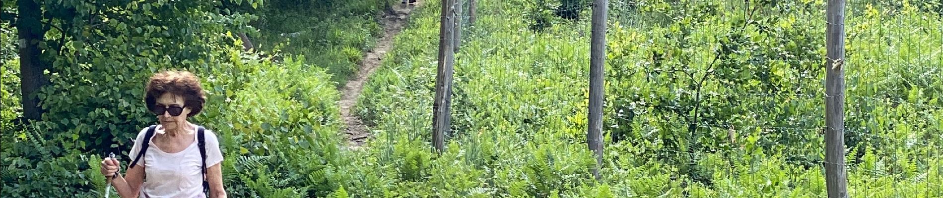 Randonnée Marche nordique Coye-la-Forêt - Marche sportive Coye - Photo