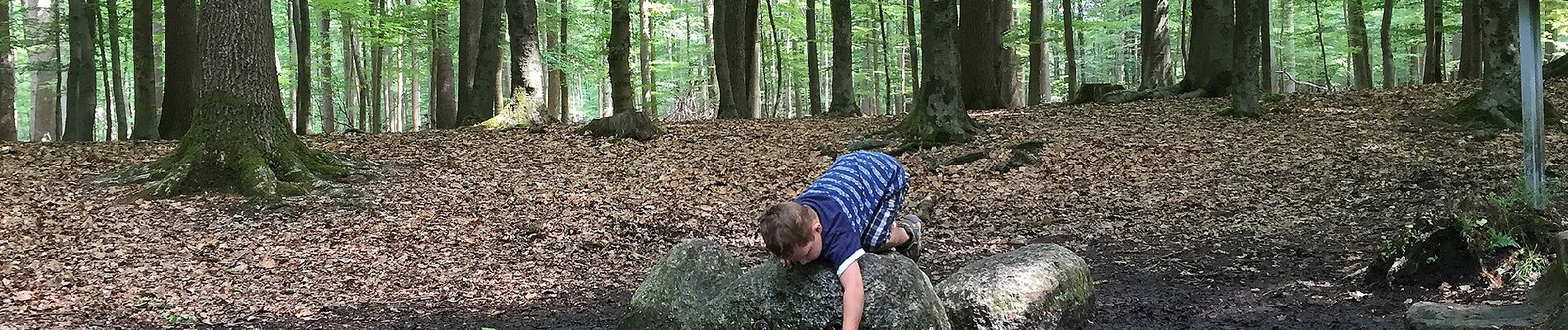 Randonnée A pied Raesfeld - Schloß Raesfeld Rundweg A1 - Photo