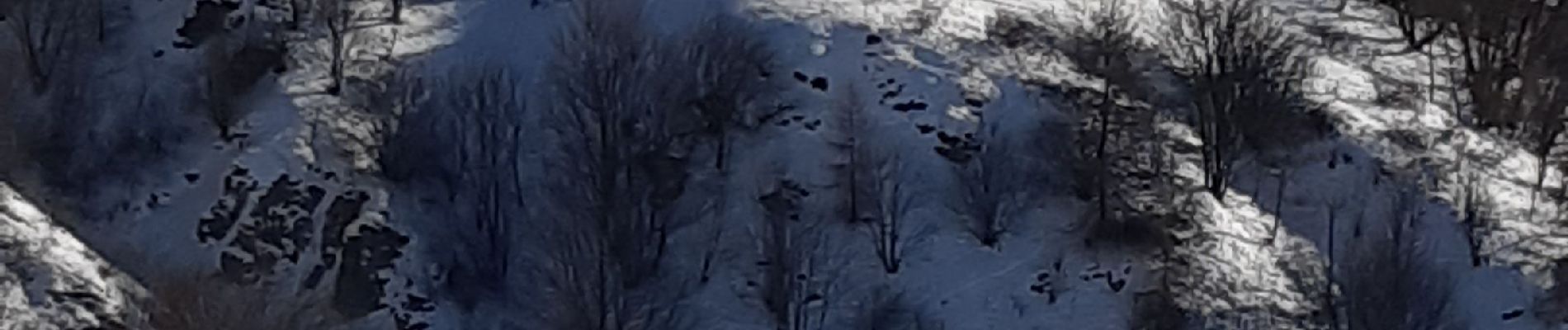 Tocht Stappen Valloire - rando raquette le col chemin du facteur  l'Archaz Valloire - Photo