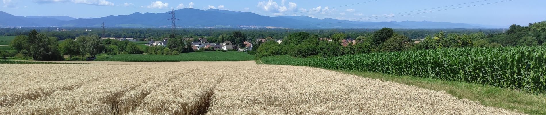 Randonnée Marche Heimsbrunn - Heimsbrunn Hochstatt - Photo