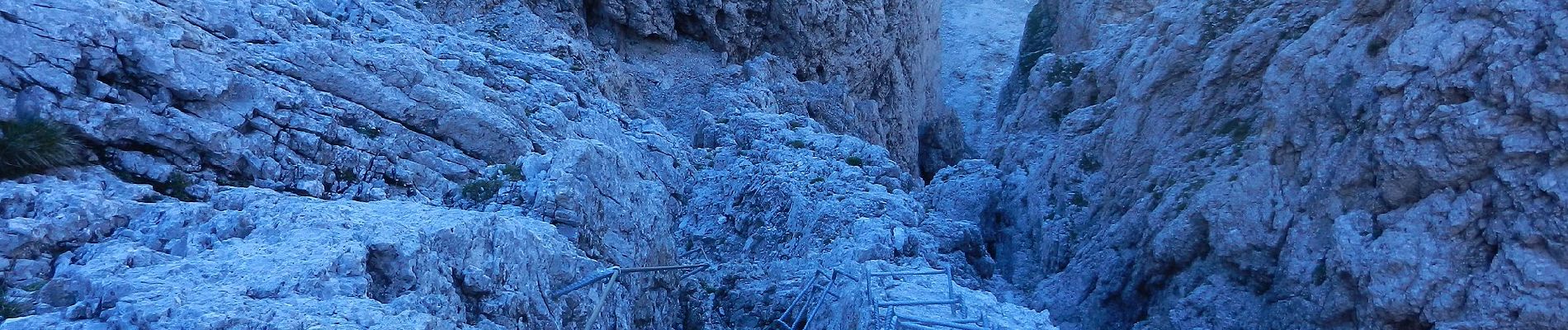 Excursión A pie Primiero San Martino di Castrozza - Sentiero attrezzato della Lasta moia - Photo