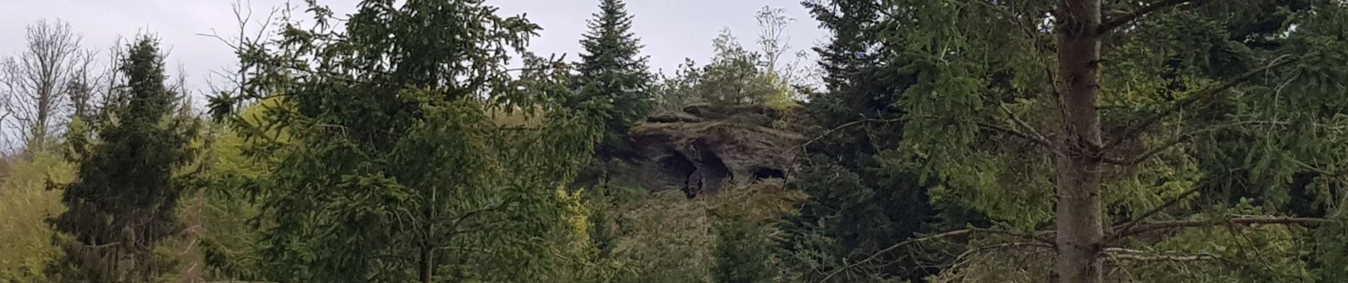 Tocht Stappen Lorquin - lorquin / roche au fées - Photo