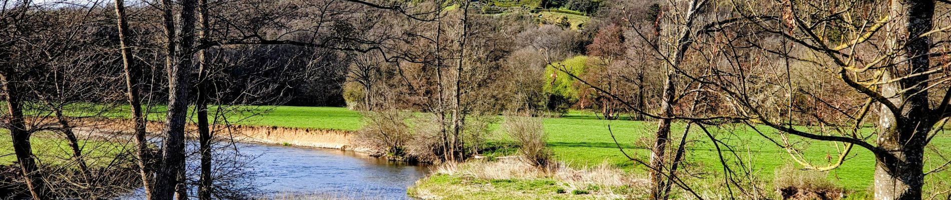 Trail Walking Rochefort - TT - Lessive - Villers - Photo