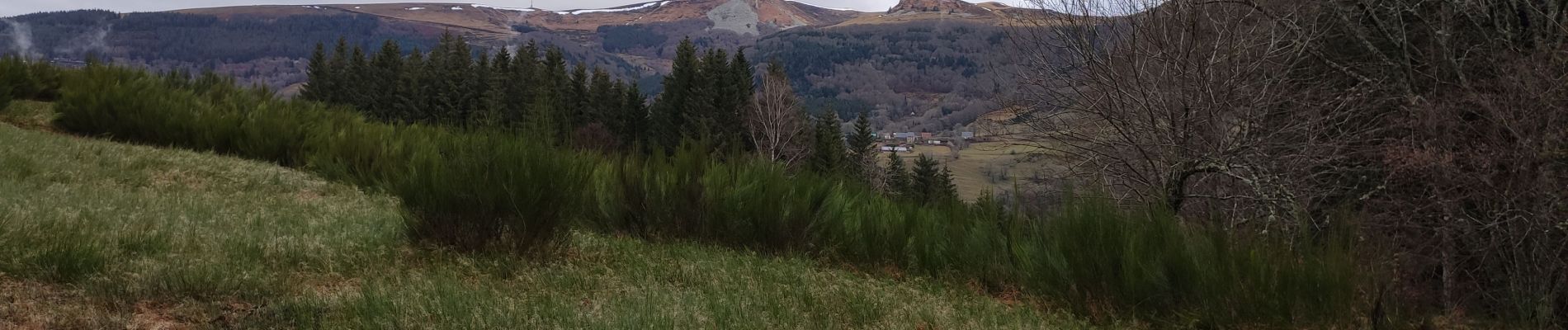 Excursión Senderismo Murat-le-Quaire - la Bourboule le mont dore - Photo