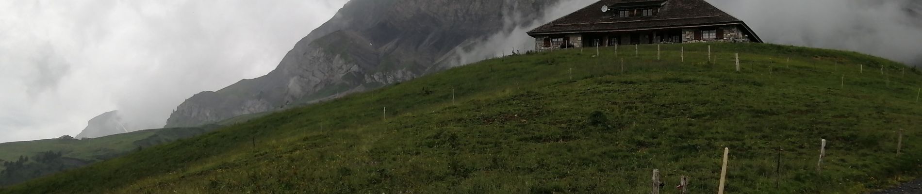 Excursión Senderismo La Giettaz - Le chalet du curé  - Photo