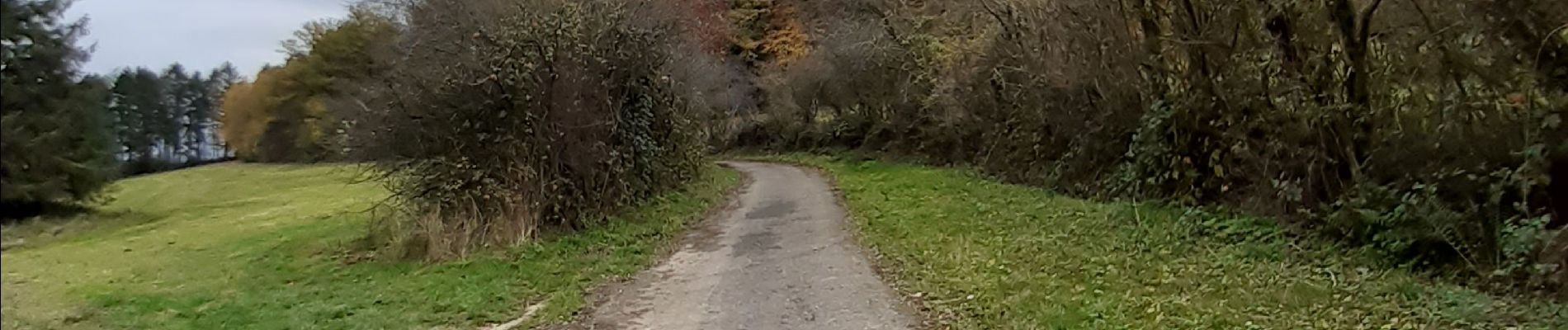 Tour Wandern Ferrières - sapin de Noël - Photo