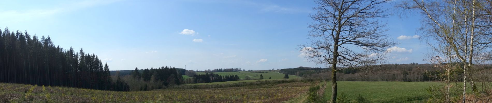 Tocht Stappen Léglise - Ebly - La Claire Fagne - Photo