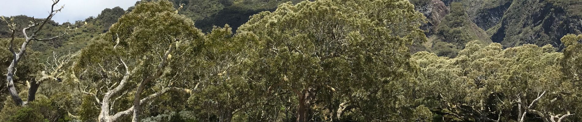 Excursión Senderismo La Possession - La Nouvelle Retour  - Photo