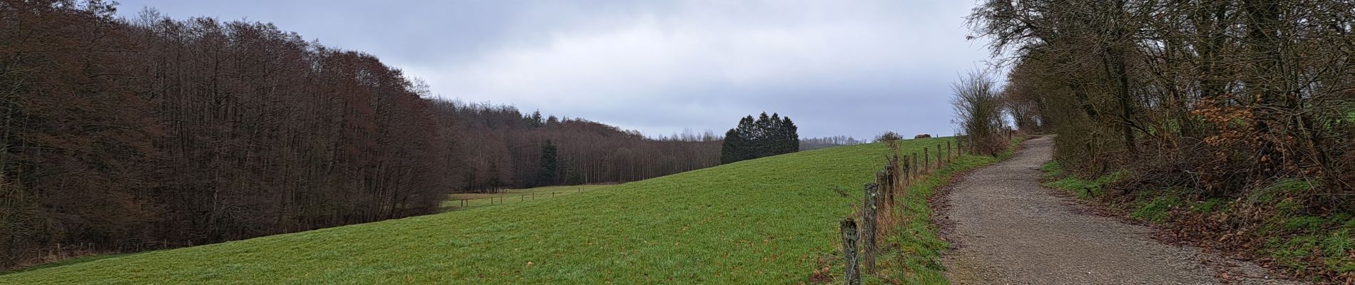 Tocht Stappen Marche-en-Famenne - Marche ADEPS 15 km Marche-en-Famenne 12/03/23 - Photo