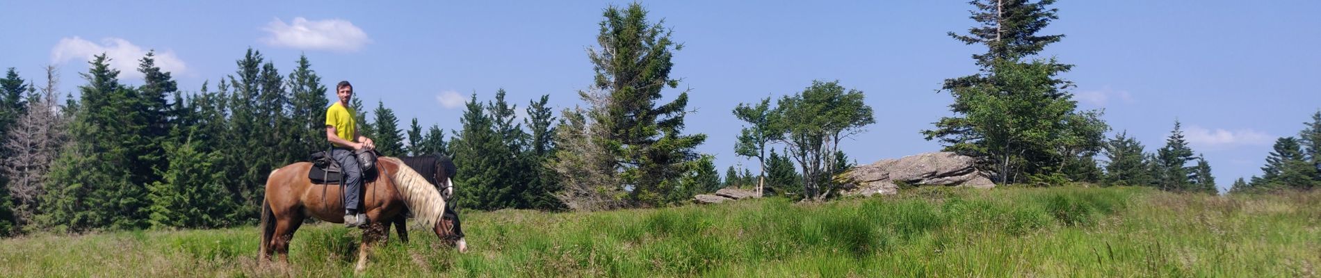 Trail Horseback riding Lutzelhouse - 2021-07-18 Journée Le petit Wisches Le Noll - Photo