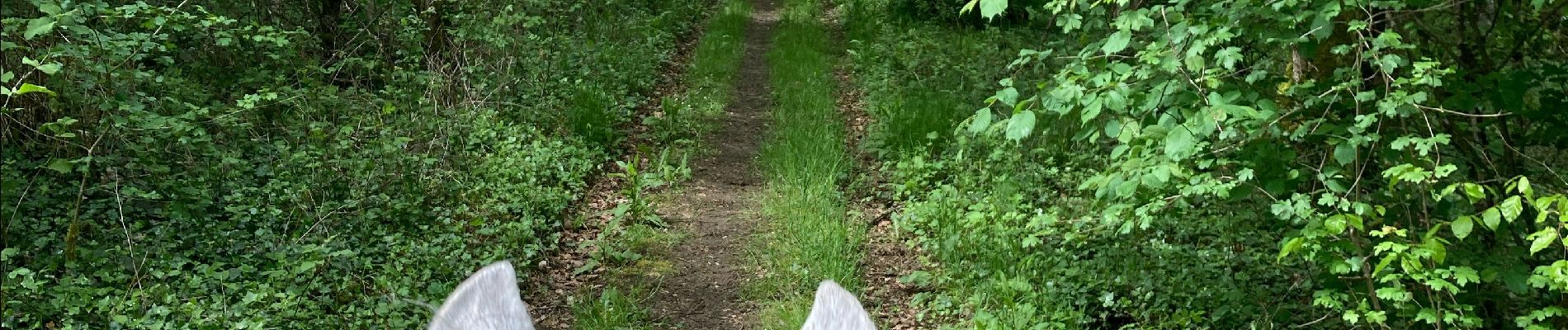 Randonnée Randonnée équestre Favières - Favieres 2024 samedi Yoigo Kaline - Photo