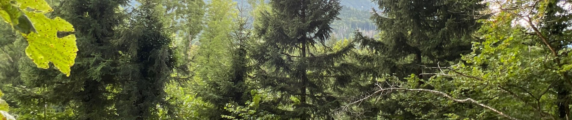 Tocht Stappen Plateau-des-Petites-Roches - Cascade du Douix - Photo