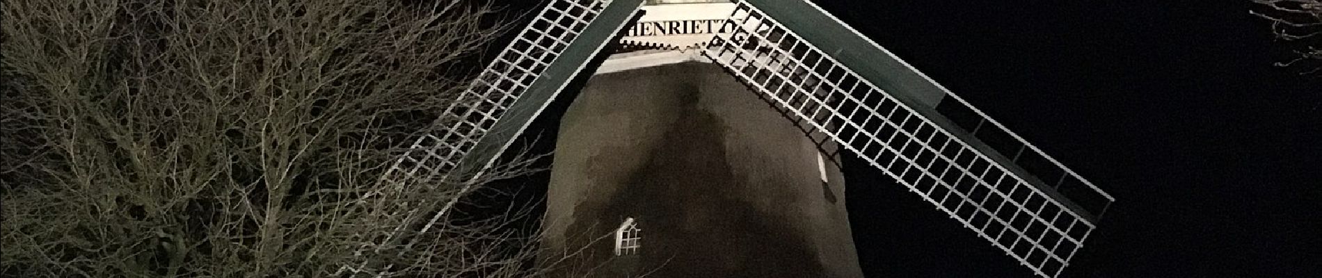 Tour Zu Fuß Bremervörde - Nordpfad 'Hinterholz und Hohenmoor' - Photo