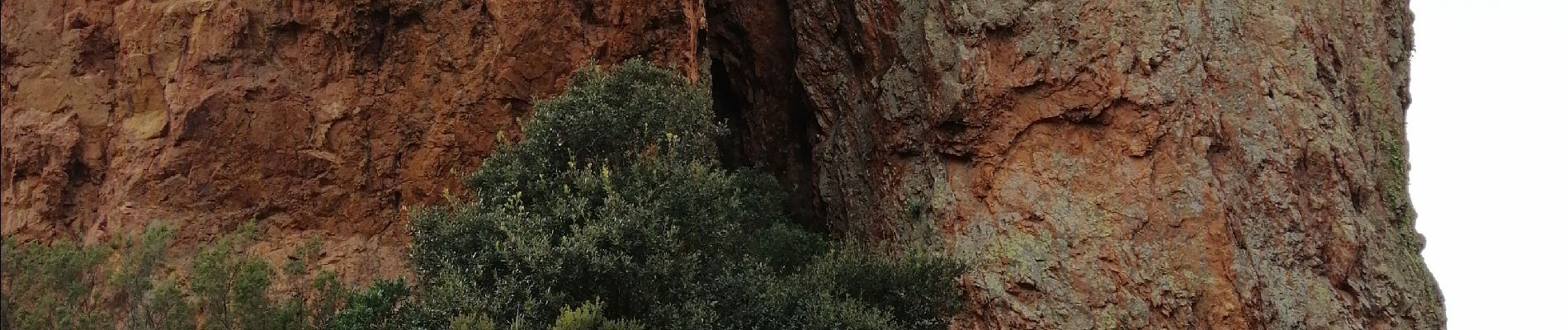 Tour Zu Fuß Saint-Raphaël - Tour du pic du Cap Roux et Ste Baume ( grotte Chapelle ) - Photo