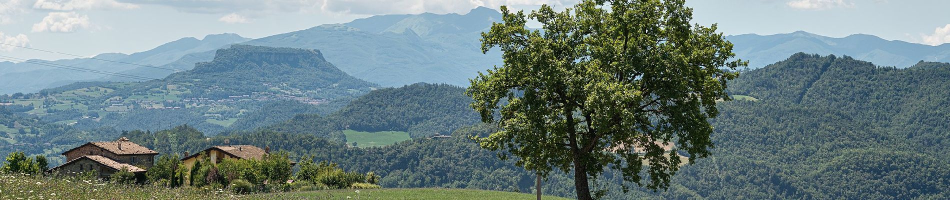 Tour Zu Fuß Canossa - Roncaglio - Iagarone - Ca' De' Curti - Solara - Cadrazzolo - Roncovetro - Vedriano - Pietranera - Photo