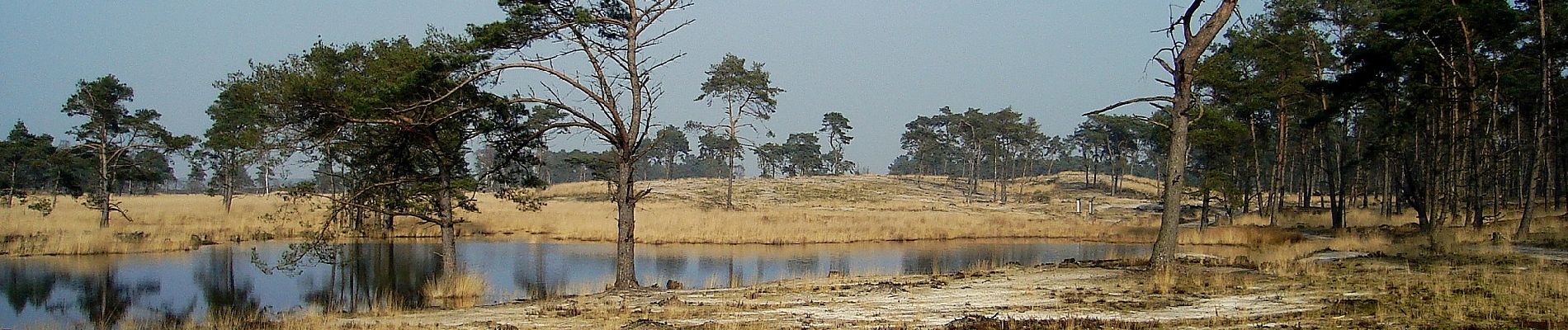 Tocht Te voet Woensdrecht - Wandelpad Mier - Photo