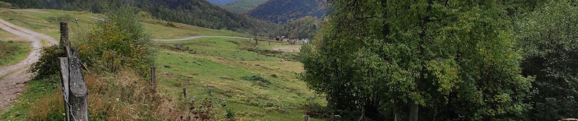 Tocht Stappen Goldbach-Altenbach - Firstacker - Photo