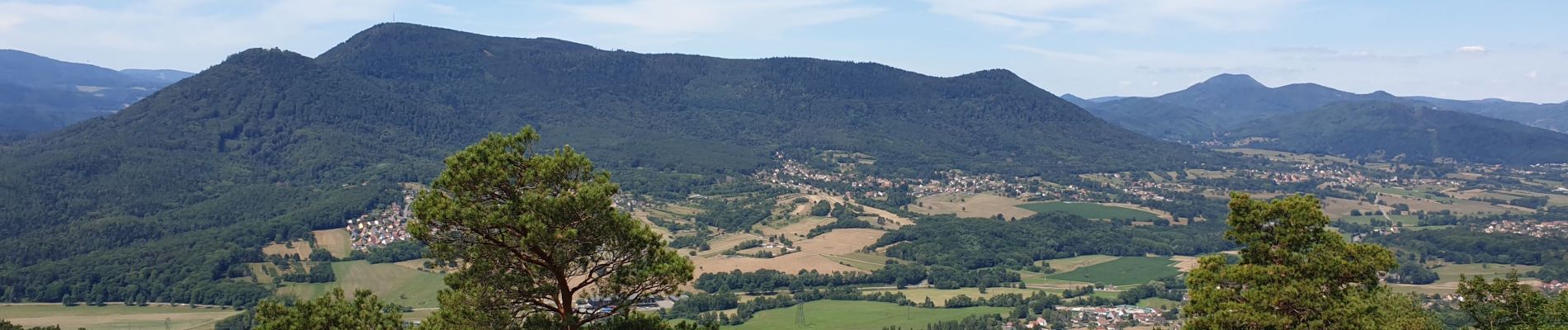 Randonnée Marche Dambach-la-Ville - Sommets et rochers - Photo