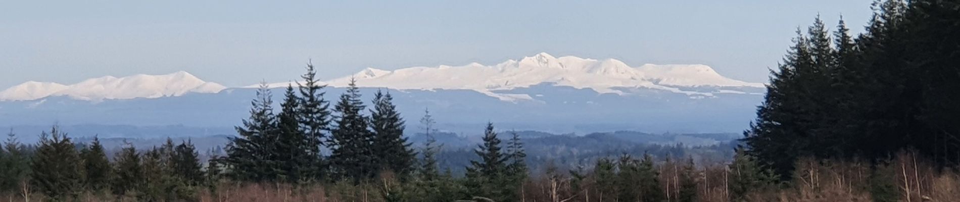 Trail Walking Meymac - Montagne du Cloup, les Farges - Photo