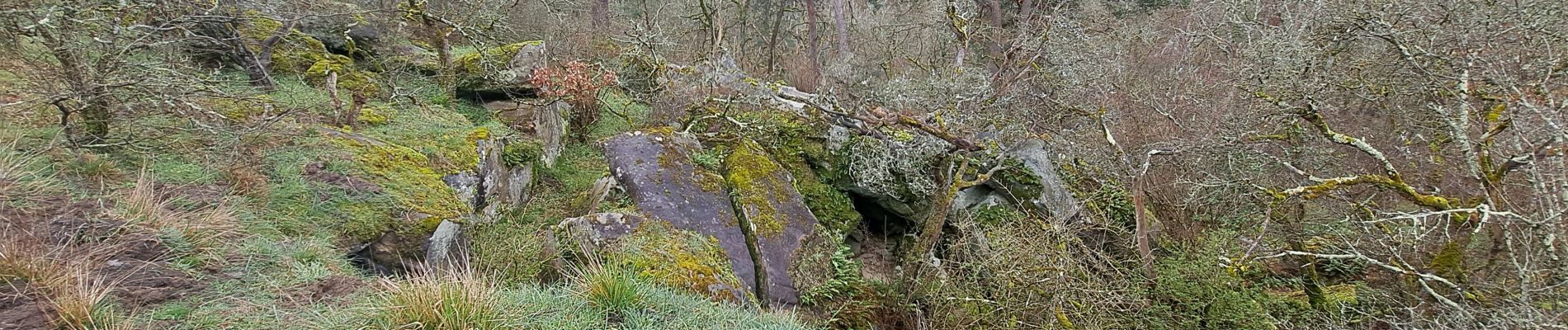 Tocht Stappen Larchant - T-Larchant.2 - Photo