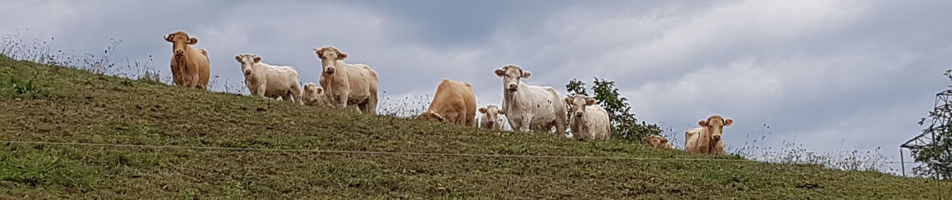 Randonnée Marche Le Gua - Le Balcon des Petits Amieux - Photo