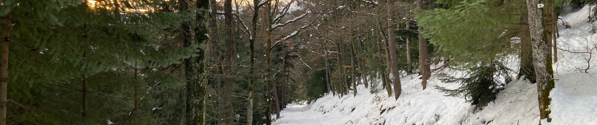 Percorso Marcia Wihr-au-Val - Marche dans la neige - Photo