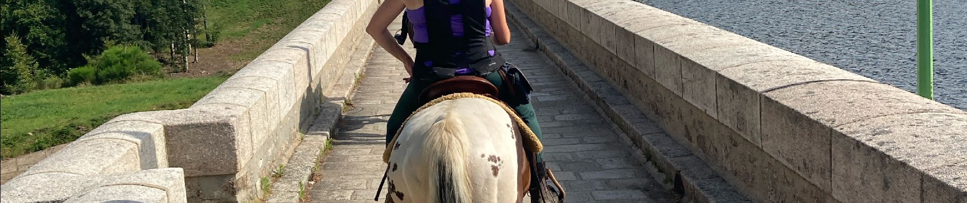 Tour Reiten Montsauche-les-Settons - Lac settons 2ème jour - Photo