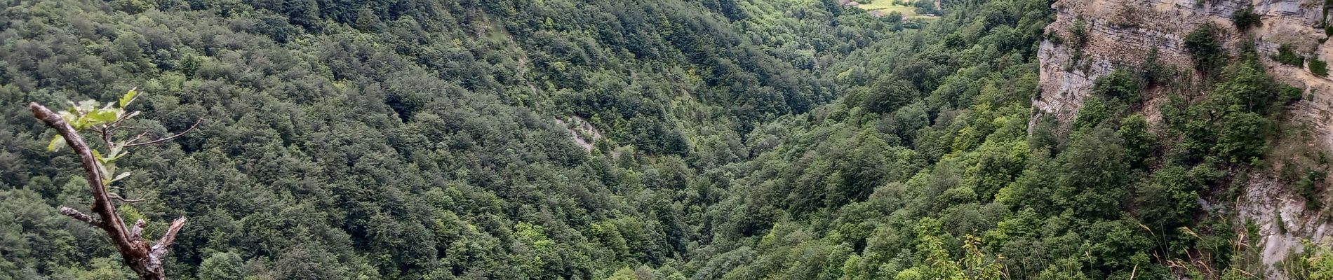 Tour Wandern Plateau d'Hauteville - cascade longcombe - Photo