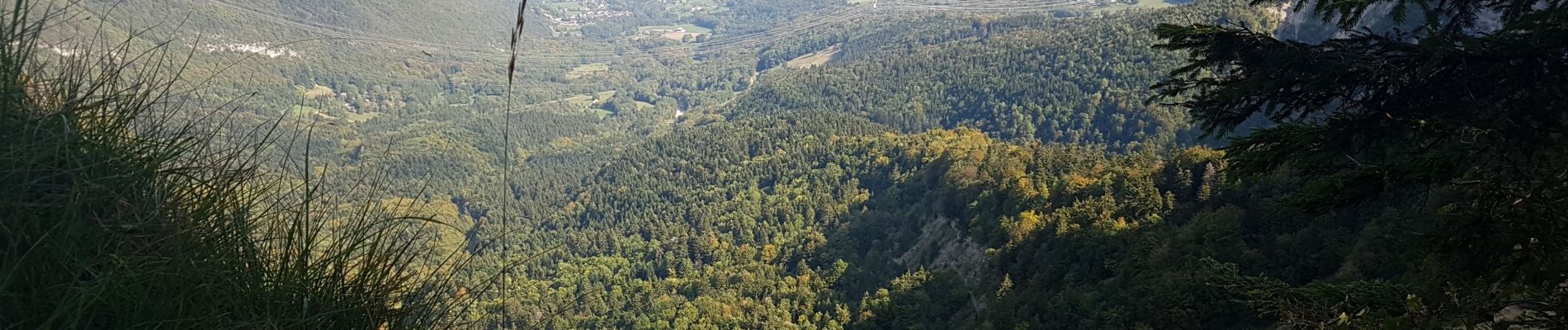 Tocht Stappen Entremont-le-Vieux - lalentille - Photo