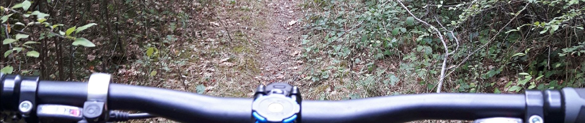 Excursión Bicicleta híbrida Quint-Fonsegrives - Sainte-Foy d'Aigrefeuille Teulat Gragnague - Photo