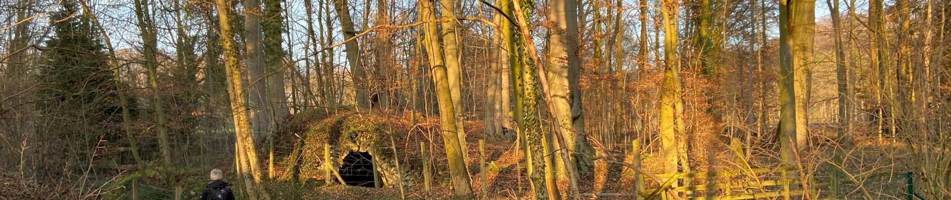 Tour Wandern Chaumont-Gistoux - Dion-le-Val Bonlez - Photo