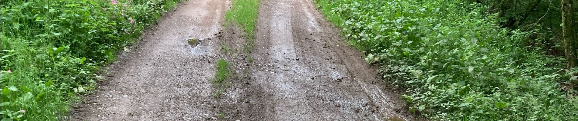 Trail Horseback riding Fouday - Fouday auberge du promont Tivio joyeux  - Photo