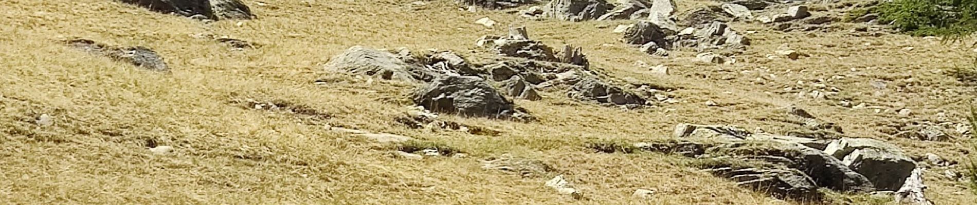 Tour Wandern Névache - Nevache - chalets de Larraux  - Photo