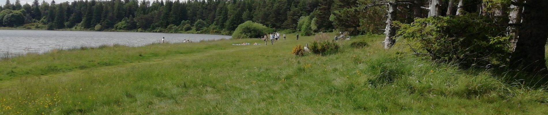 Percorso Marcia Saulzet-le-Froid - pessade Lac Serviere - Photo