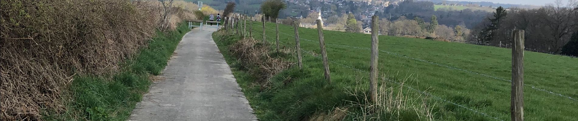 Tour Zu Fuß Sprimont -  Adeps -Sprimont 10km  - Photo