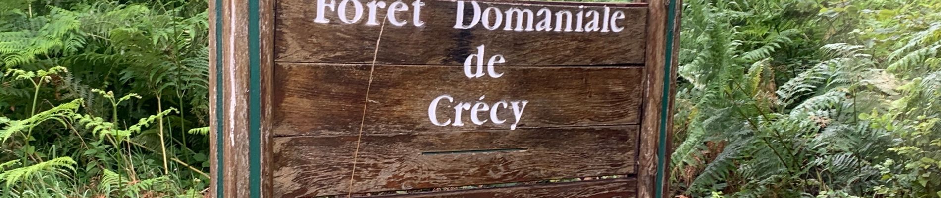 Randonnée V.T.T. Crécy-en-Ponthieu - Petit balade - Forêt Domaniale de Crécy en Ponthieu - Photo